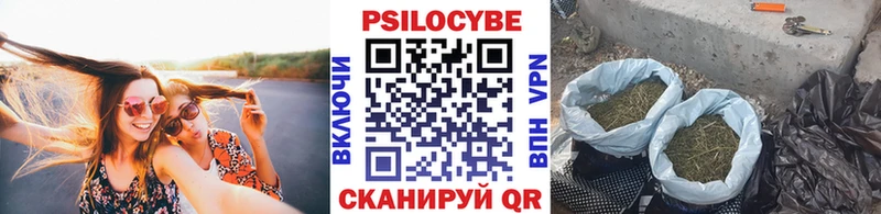 Псилоцибиновые грибы MAGIC MUSHROOMS  Купить где  Светлоград 